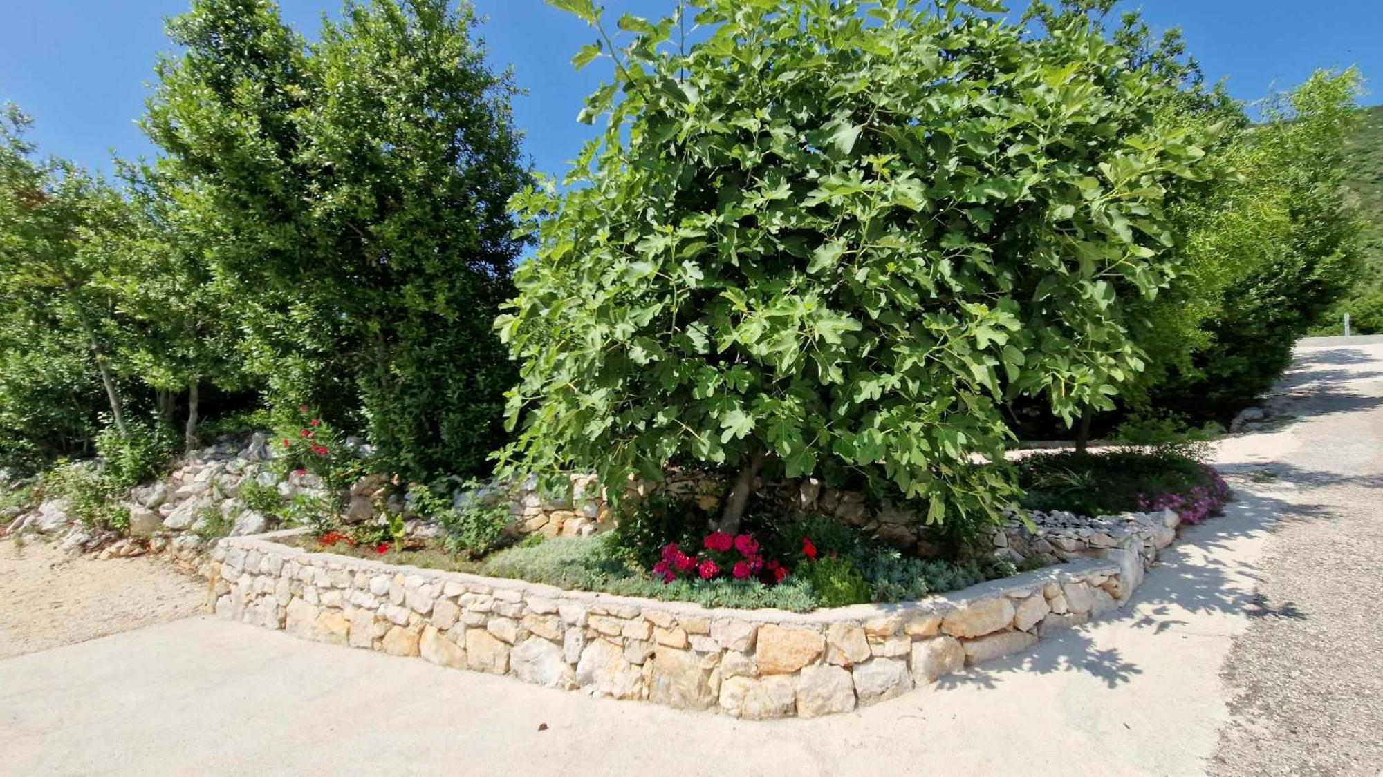 Villa Paradise Garden Ston Exterior foto